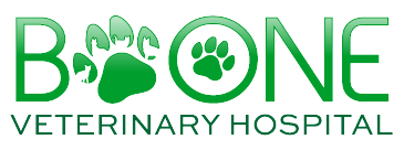 Boone Veterinary Hospital logo