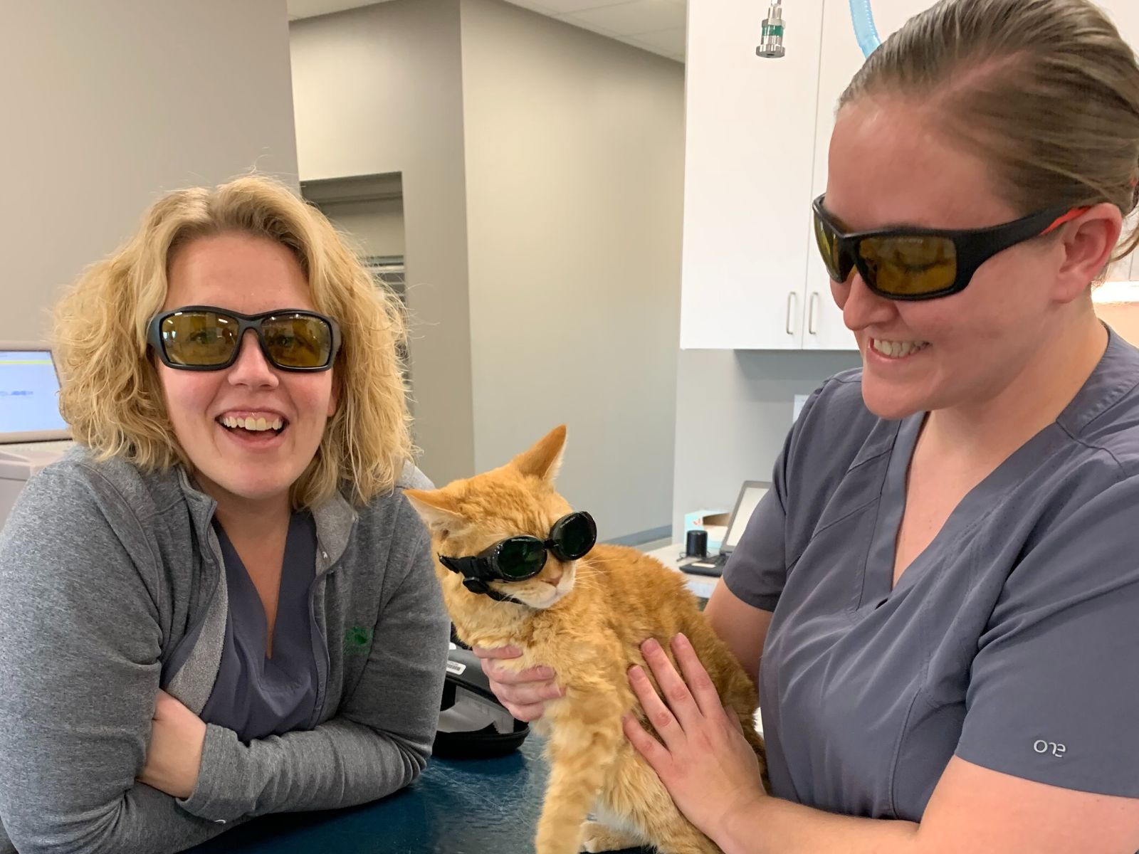 Two women in scrubs smiling while holding a cat